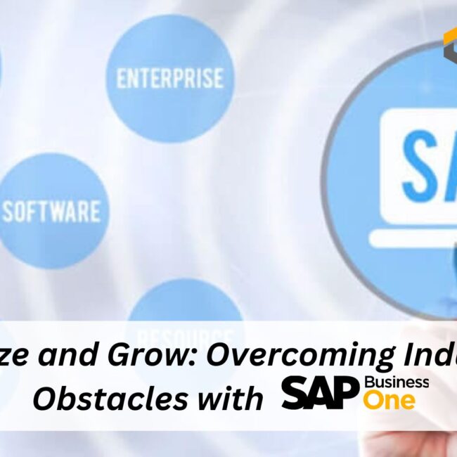 Optimize and Grow: Overcoming Industry Obstacles with SAP B1