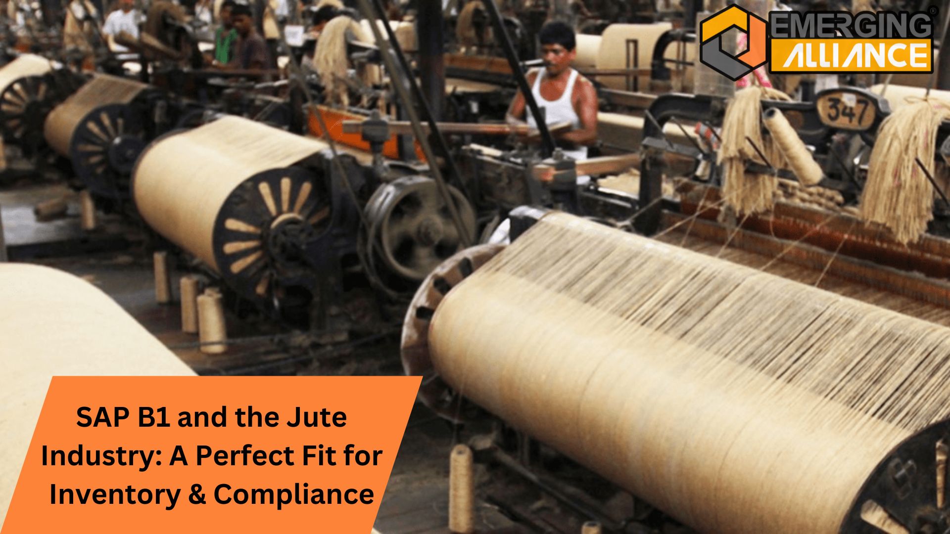 SAP B1 and the Jute Industry: A Perfect Fit for Inventory & Compliance