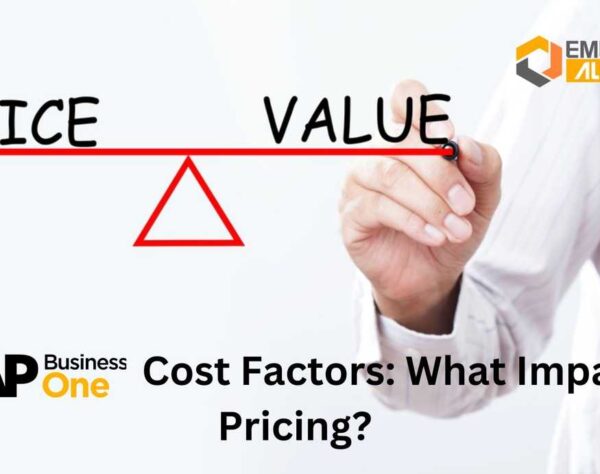 SAP Business One Cost Factors: What Impacts Pricing?