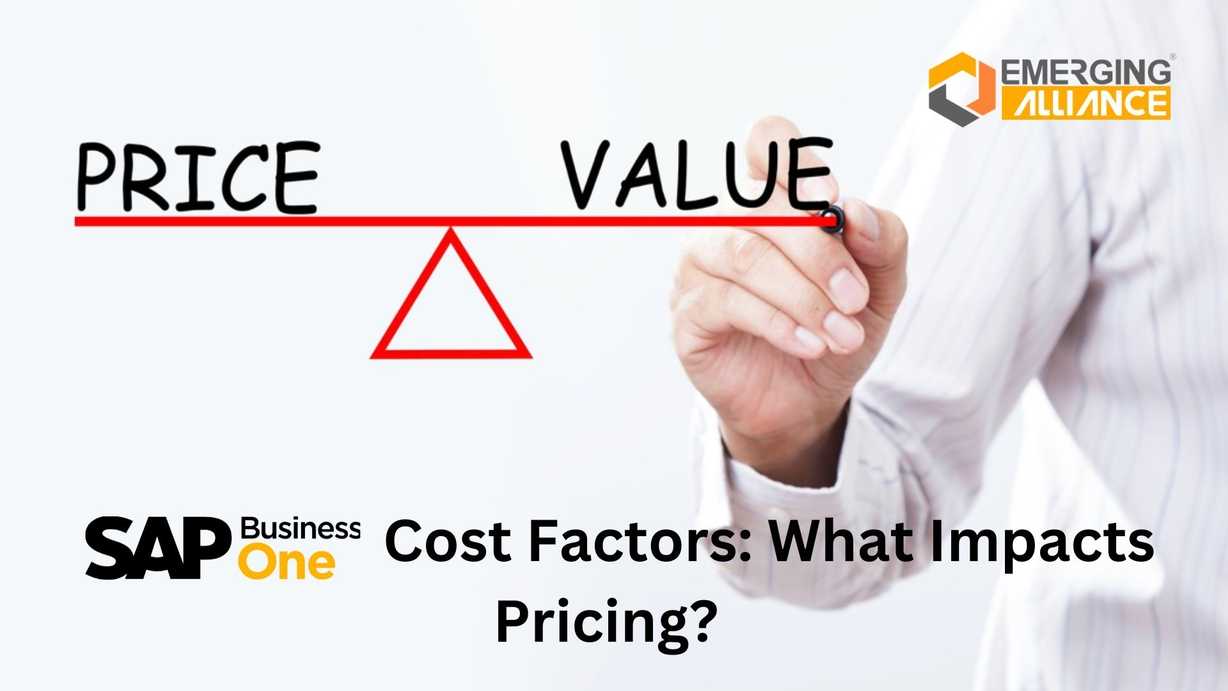 SAP Business One Cost Factors: What Impacts Pricing?