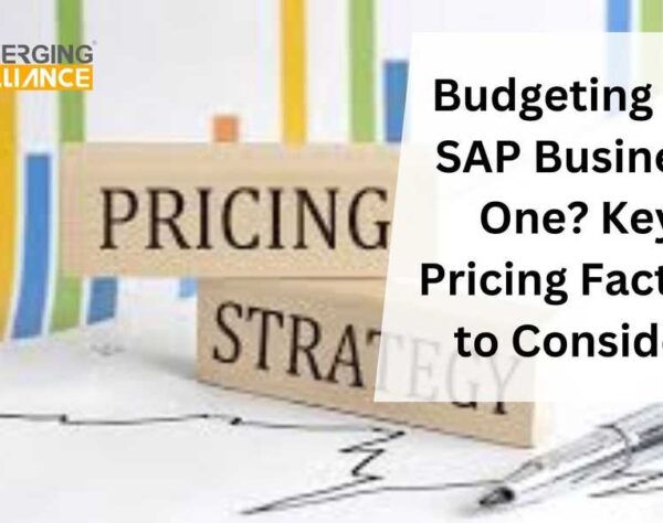 Budgeting for SAP Business One? Key Pricing Factors to Consider