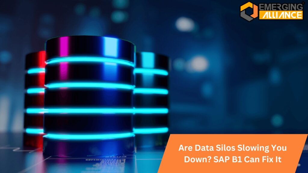 Are Data Silos Slowing You Down? SAP B1 Can Fix It