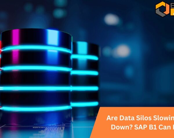 Are Data Silos Slowing You Down? SAP B1 Can Fix It