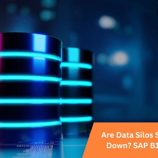 Are Data Silos Slowing You Down? SAP B1 Can Fix It