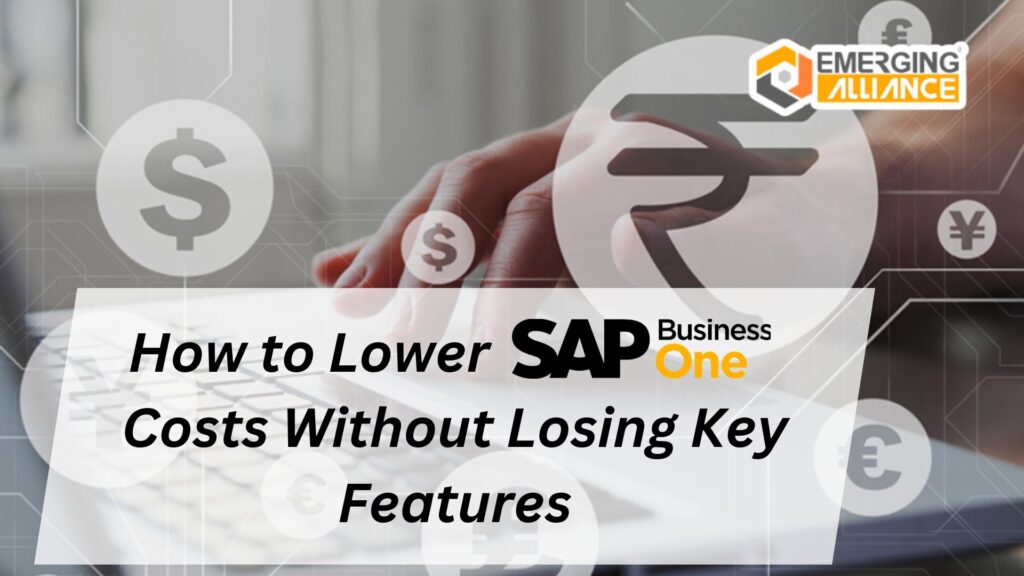 How to Lower SAP Business One Costs Without Losing Key Features