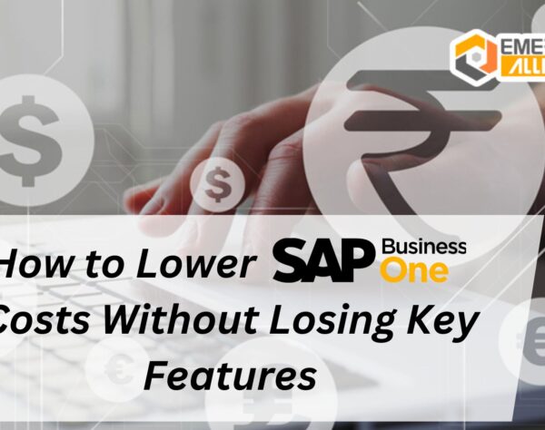 How to Lower SAP Business One Costs Without Losing Key Features