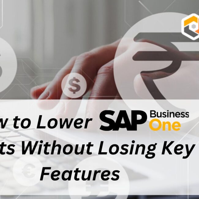 How to Lower SAP Business One Costs Without Losing Key Features