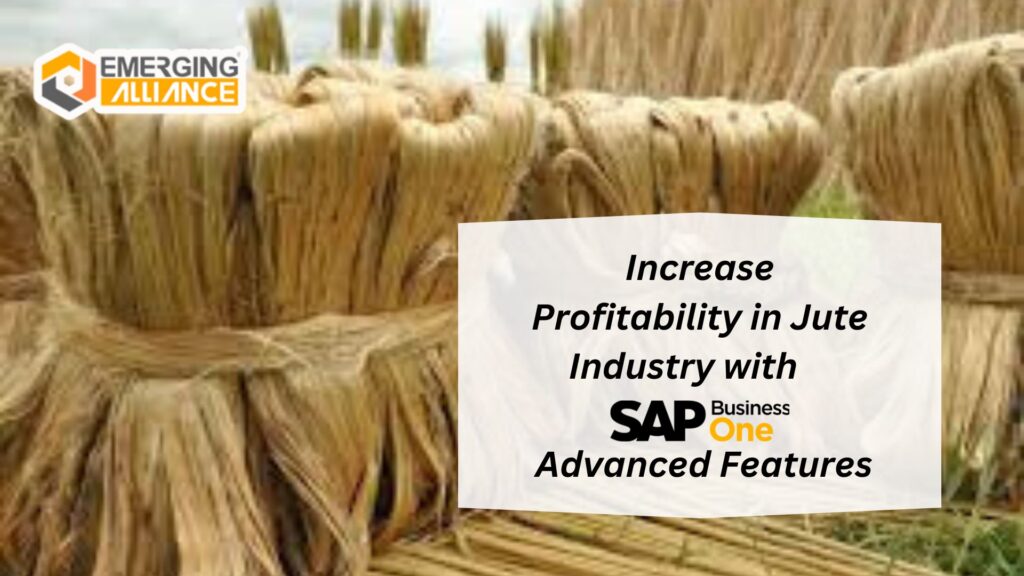 Increase Profitability in Jute Industry with SAP B1 Advanced Features