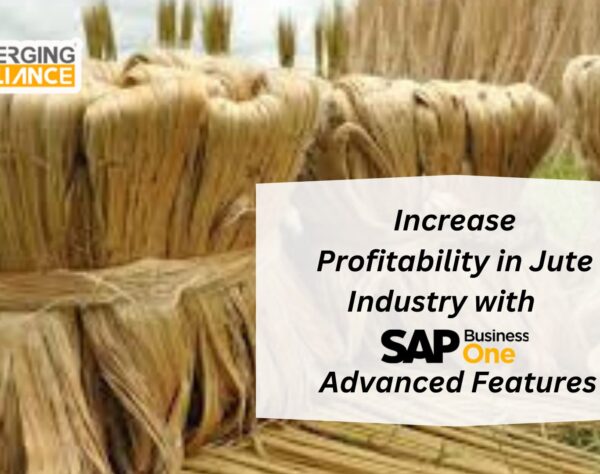 Increase Profitability in Jute Industry with SAP B1 Advanced Features