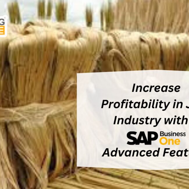 Increase Profitability in Jute Industry with SAP B1 Advanced Features