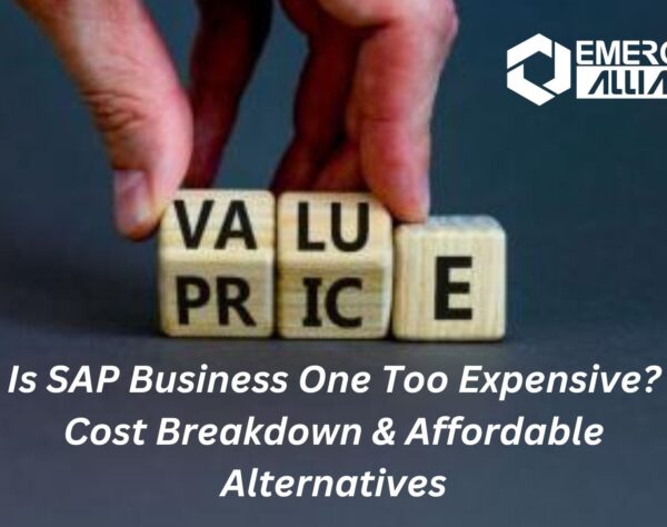 Is SAP Business One Too Expensive? Cost Breakdown & Affordable Alternatives