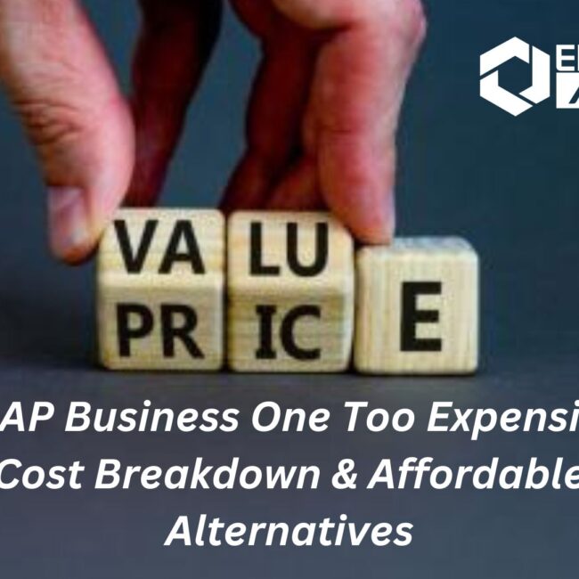 Is SAP Business One Too Expensive? Cost Breakdown & Affordable Alternatives