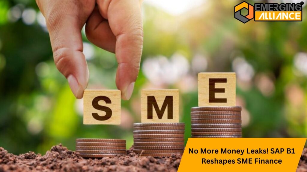 No More Money Leaks! SAP B1 Reshapes SME Finance