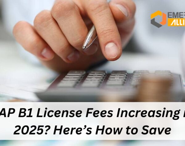 SAP B1 License Fees Increasing in 2025? Here’s How to Save