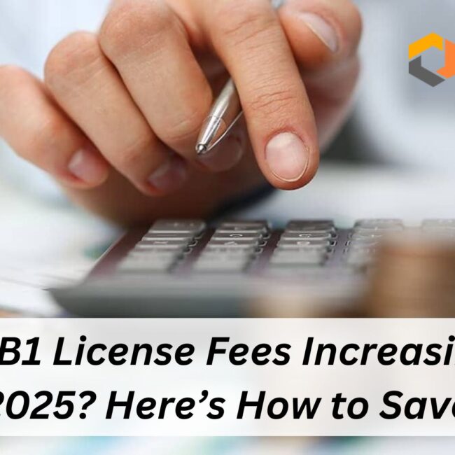 SAP B1 License Fees Increasing in 2025? Here’s How to Save