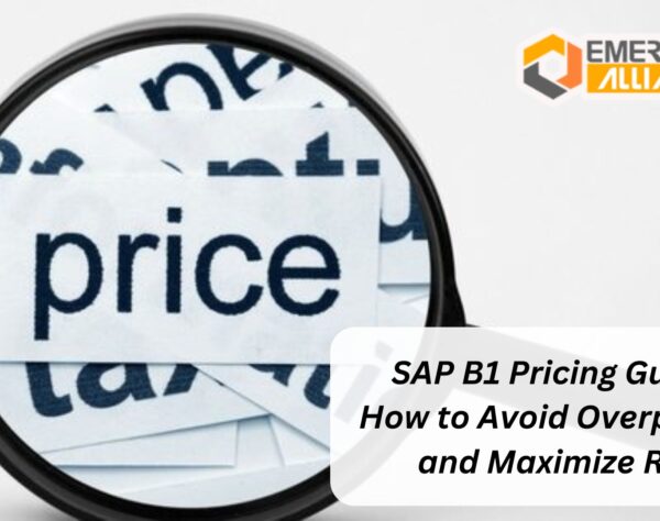 SAP B1 Pricing Guide: How to Avoid Overpaying and Maximize ROI