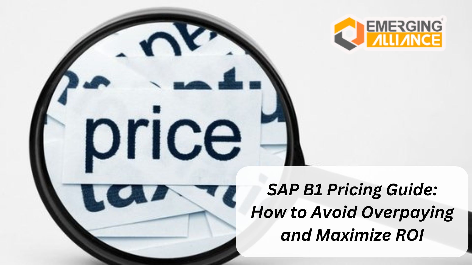 SAP B1 Pricing Guide: How to Avoid Overpaying and Maximize ROI