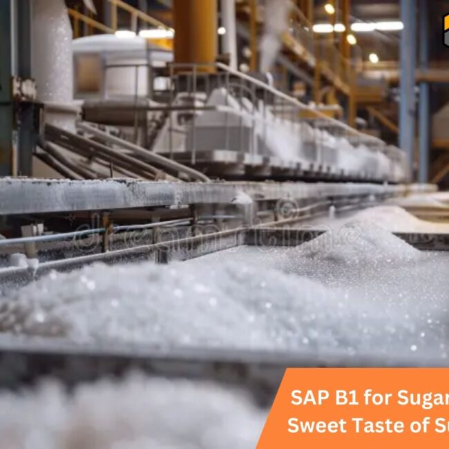 SAP B1 for Sugar Industry: The Sweet Taste of Success in India