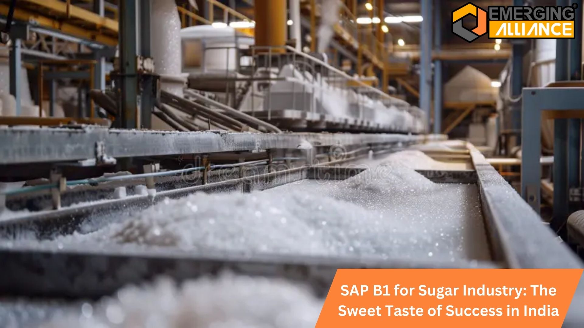 SAP B1 for Sugar Industry: The Sweet Taste of Success in India